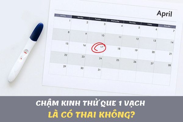 [Giải đáp] Chậm kinh thử que 1 vạch là có thai không?