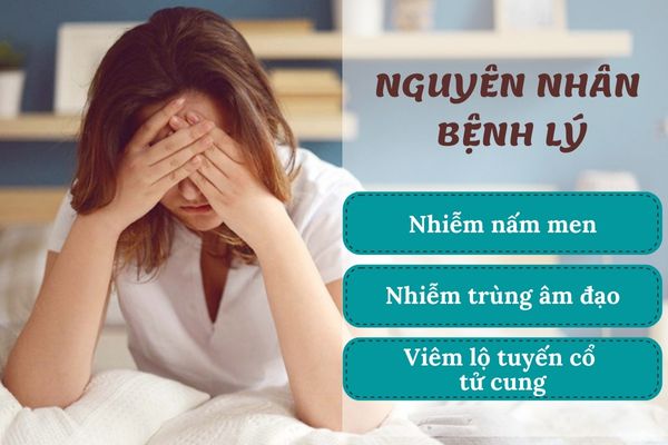 Chữa nam khoa có khó không? Cách điều trị và phòng ngừa bệnh nam khoa