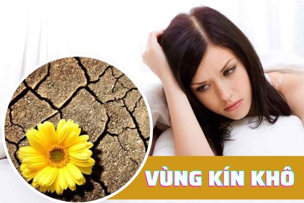 Nguyên nhân khiến vùng kín khô – Cách điều trị hiệu quả