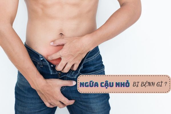 Ngứa cậu nhỏ là bị bệnh gì? Có nguy hiểm không?